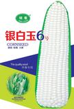 银白玉6号