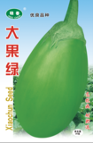 大果绿绿茄