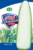早香糯玉米