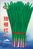 独根红韭菜