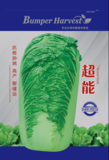 超能白菜