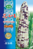 花如玉玉米