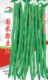 国米架豆王