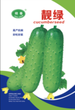靓绿黄瓜