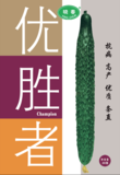 优胜者黄瓜