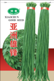 亚洲雄锋豇豆