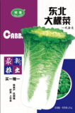 东北大棵菜白菜