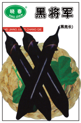 黑将军茄子