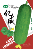 亿威黄瓜