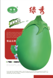 绿秀绿茄