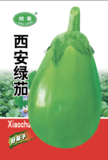 西安绿茄