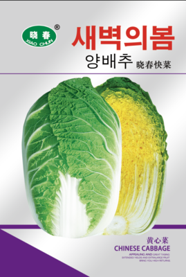 晓春快菜白菜