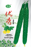 优秀黄瓜