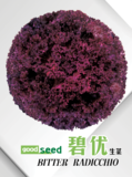 碧优苦苣