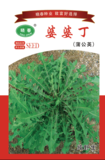 婆婆丁
