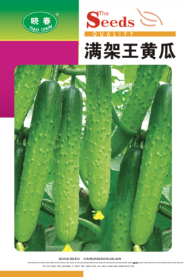 满架王黄瓜