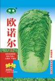 欧诺尔白菜