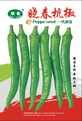 晓春杭椒