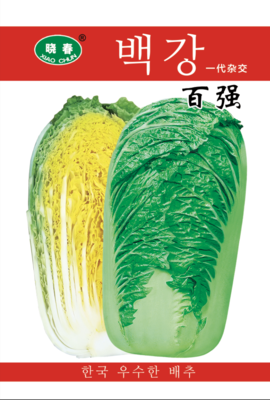 百强白菜