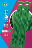 丰收一号豇豆