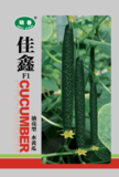 佳鑫黄瓜