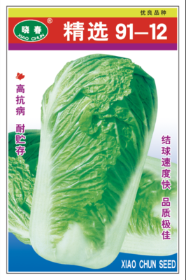 精选91-12白菜