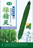 绿精灵黄瓜