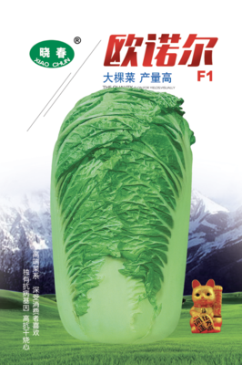 欧诺尔白菜