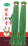 晓春新星豇豆