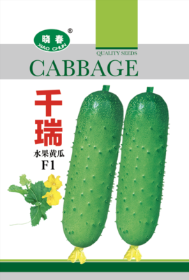 千瑞黄瓜
