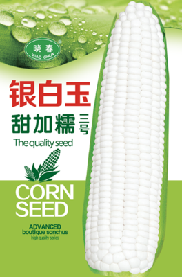 银白玉三号玉米