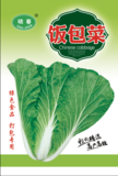 饭包菜小白菜