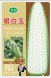 银白玉玉米