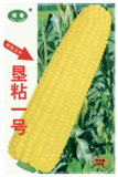 垦粘一号玉米