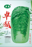 **白菜