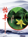 怡丰黄瓜