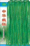 中华嫩豇豇豆