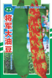 将军大油豆芸豆