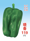 晓春119麻辣